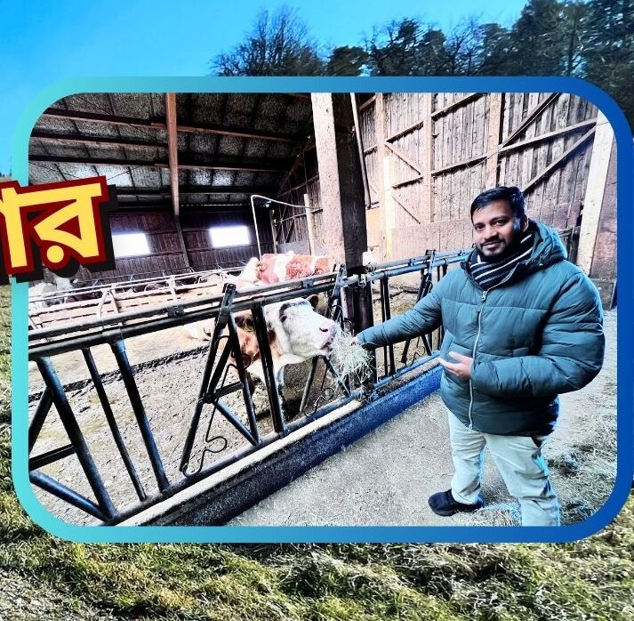 Dairy Farm